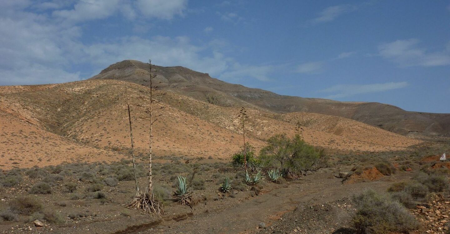 WFF 1040 1 FFuerteventura Blick auFF die Gran Montaña Hendida