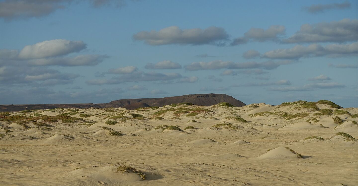 WKB 1062 4 Dünenlandschaft mit dem Gebirgsmassiv Serra Negra im Hintergrund