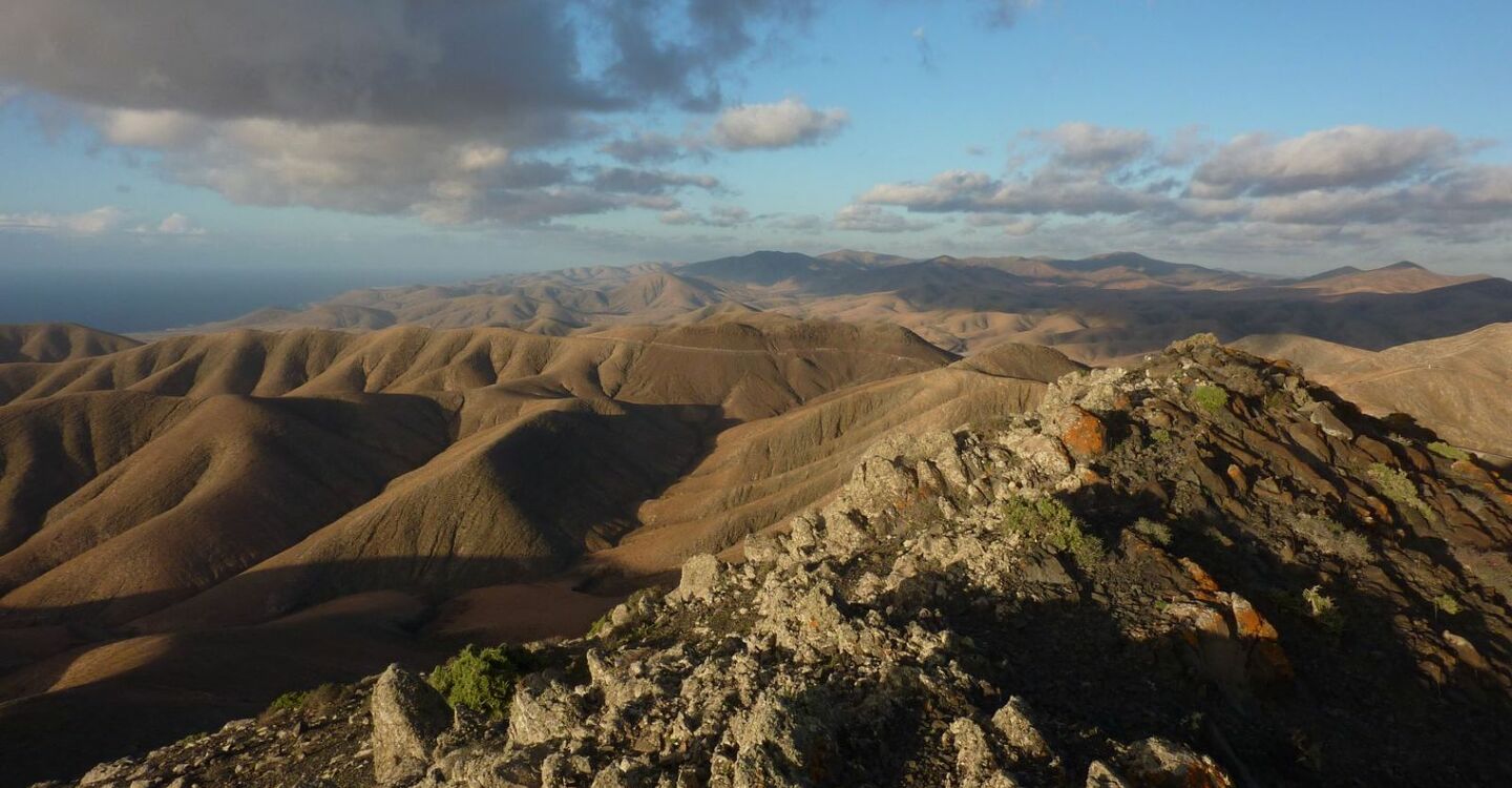 WFF 1042 5 FFuerteventura GipFFel des Sisa Umbre