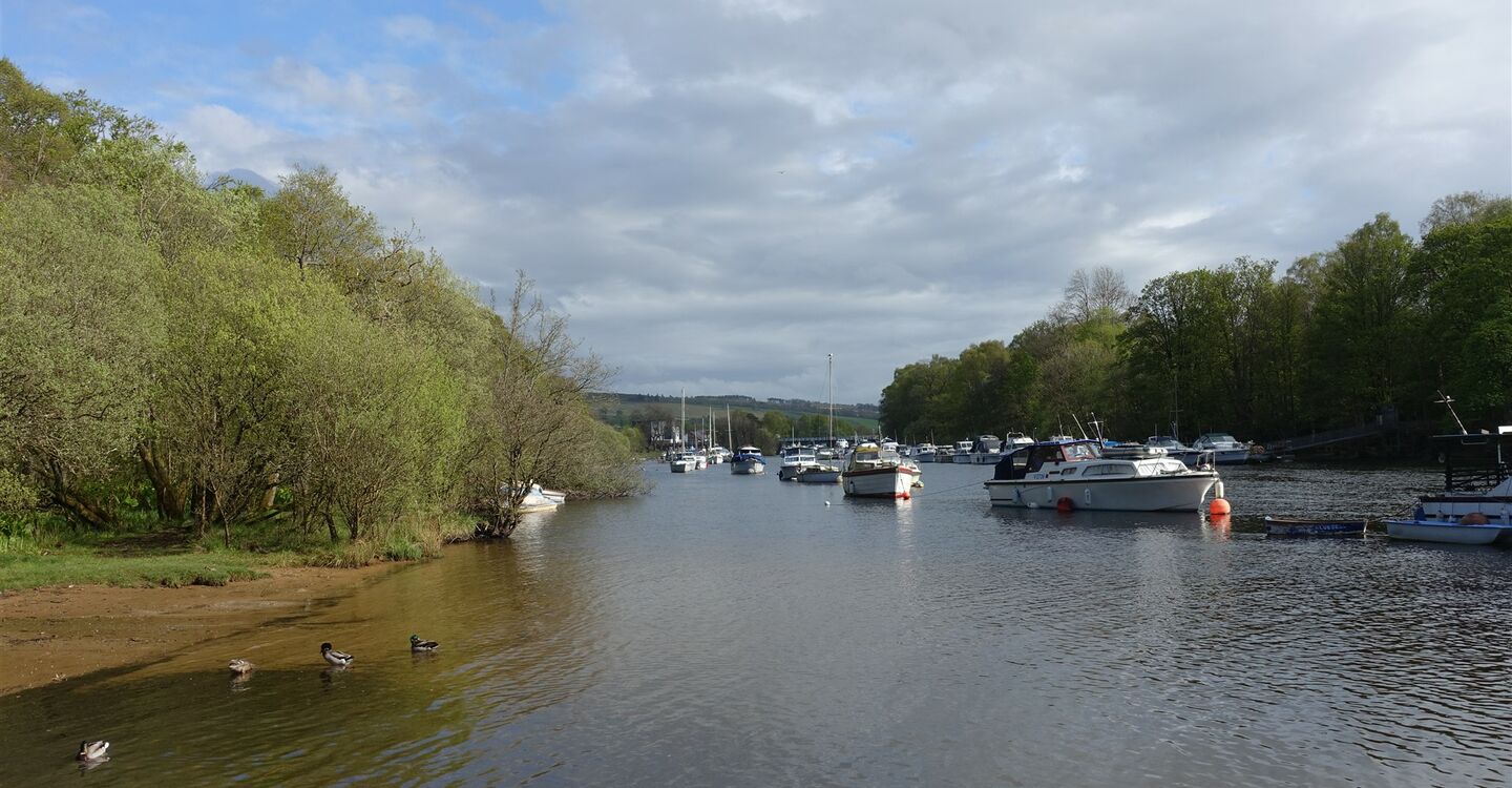 WSCH 1009 5 Mündung River Leven