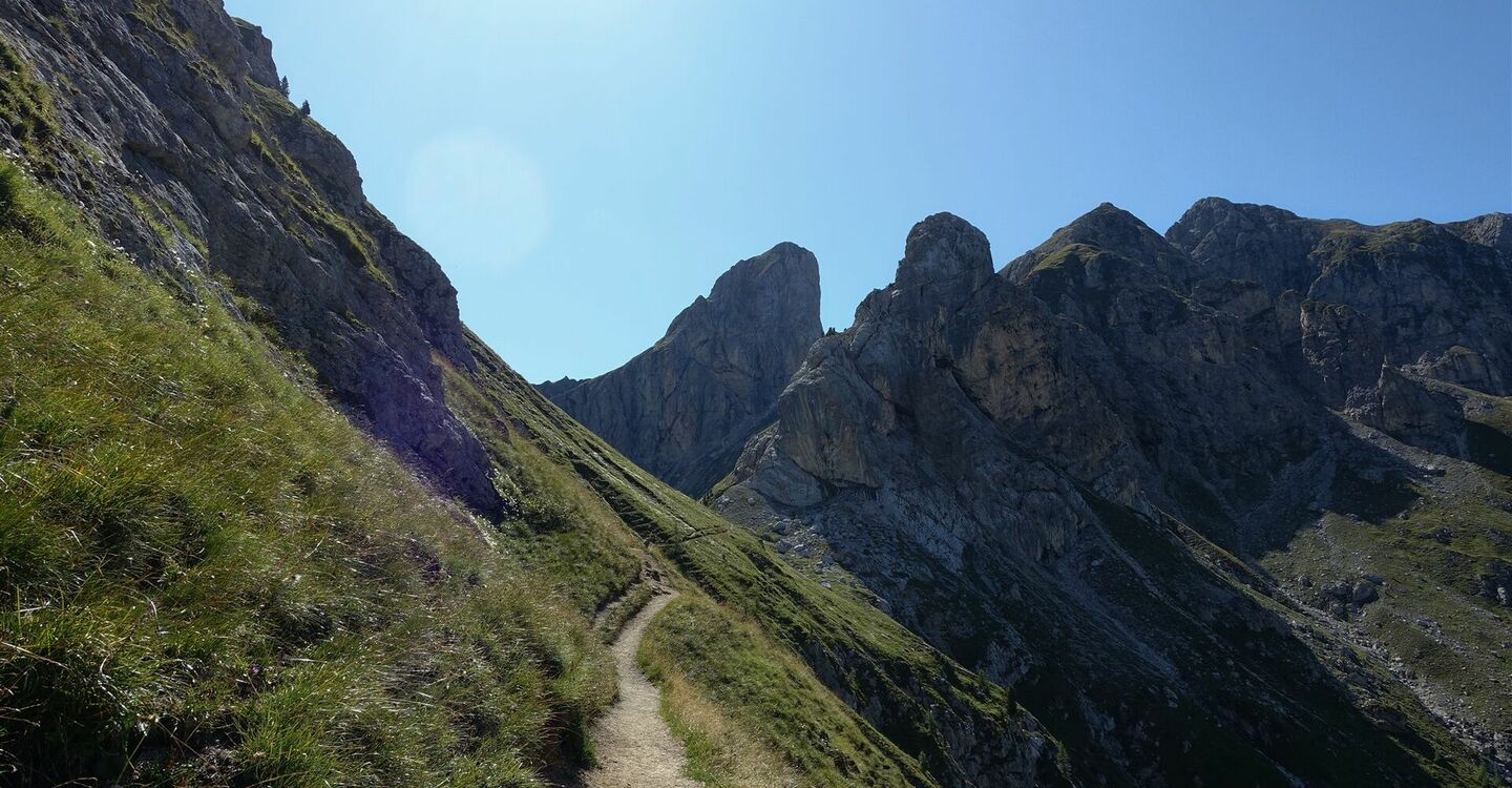 WKB1 1027 2 Pfad durch steile Bergwiesen.