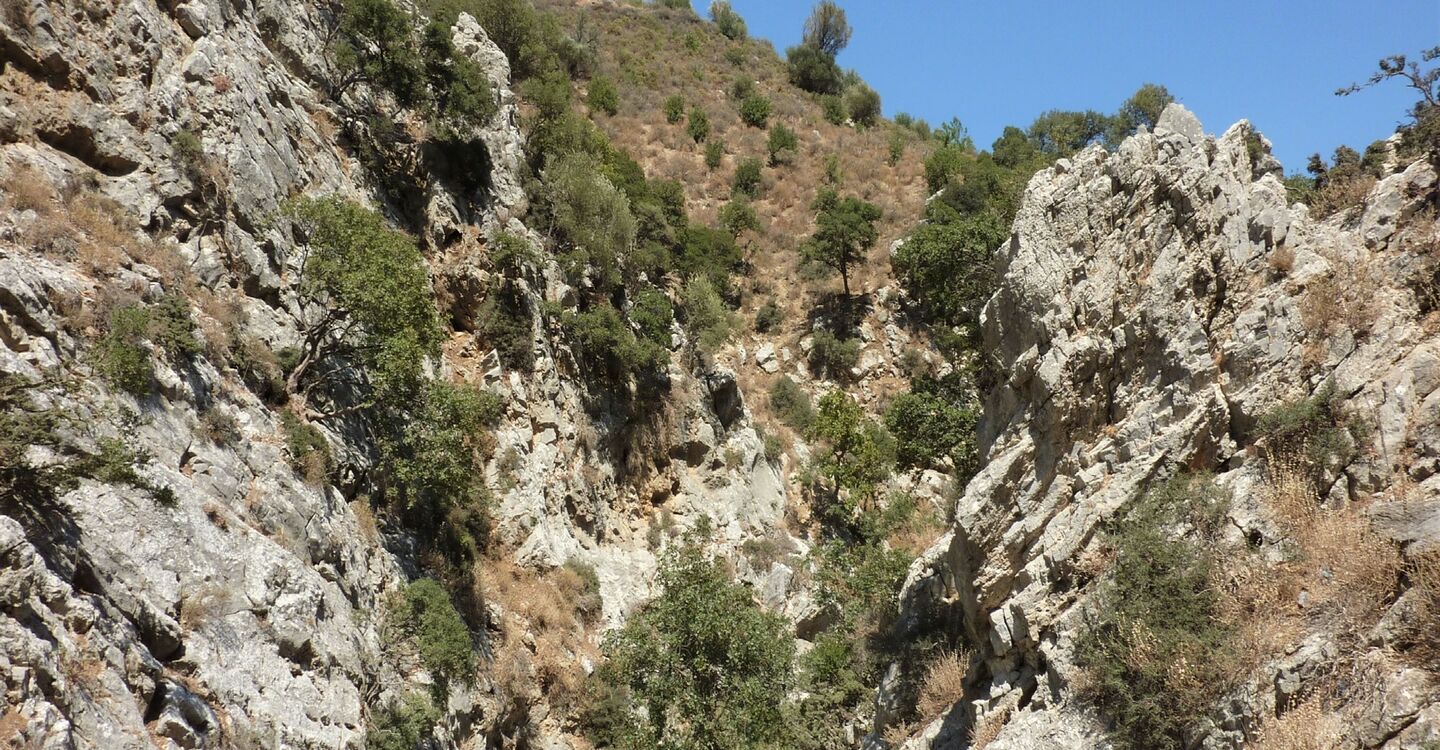 WK 1011 4 Blick in die Schlucht Agios Antonios