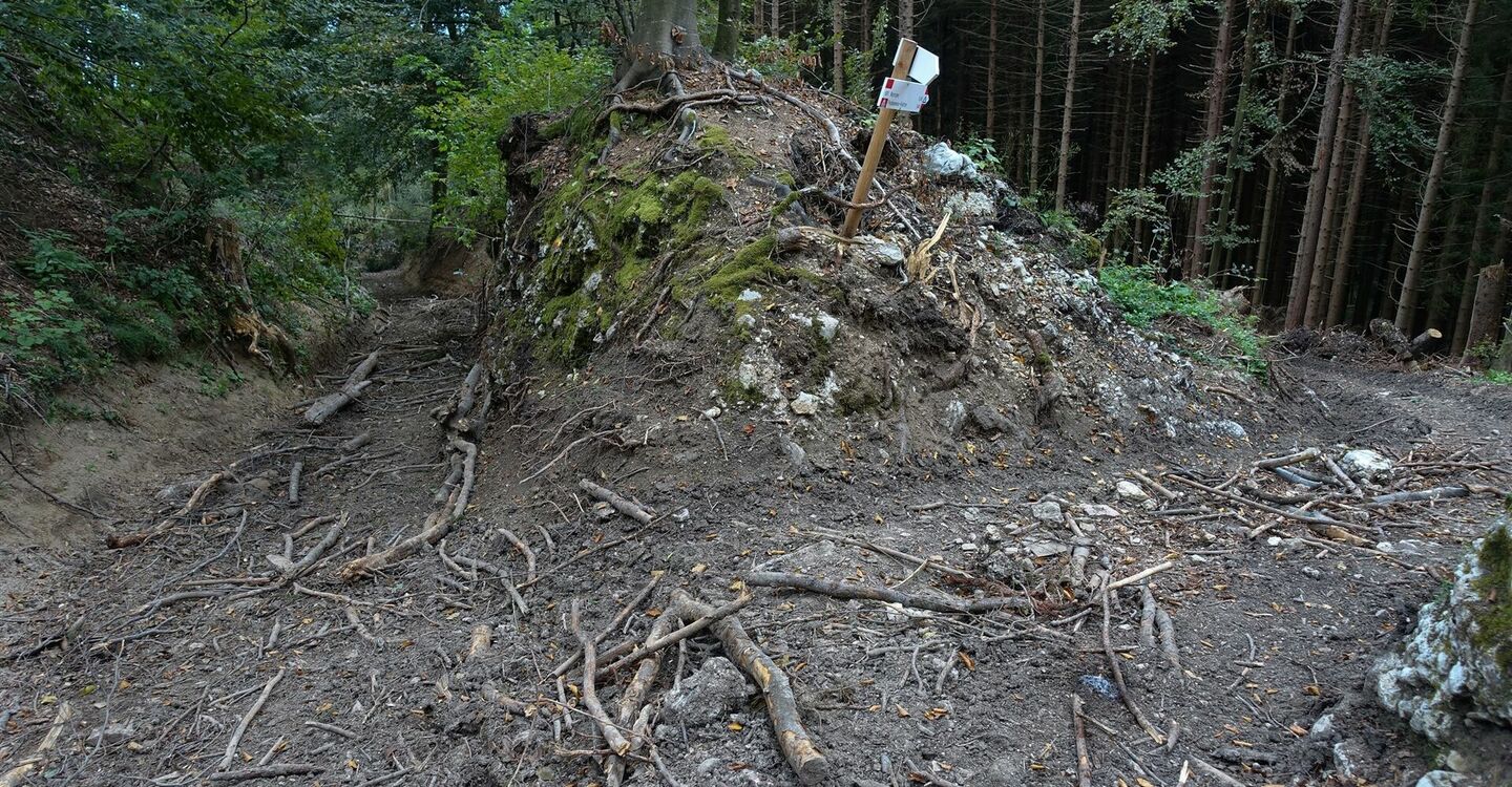 WKB2 1056 2 Eine Weggabelung im Wald.