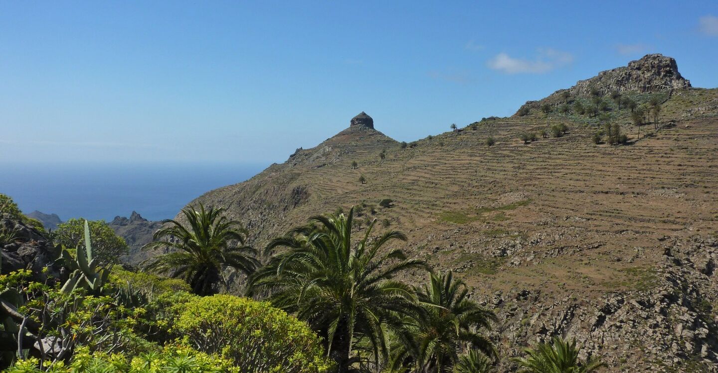 WLG 1060 2 Roque de Sombrero von Ayamosa