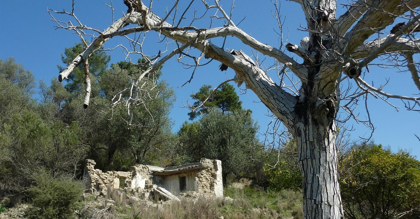 WRH 1028 4 Schlüsselstelle Ruine