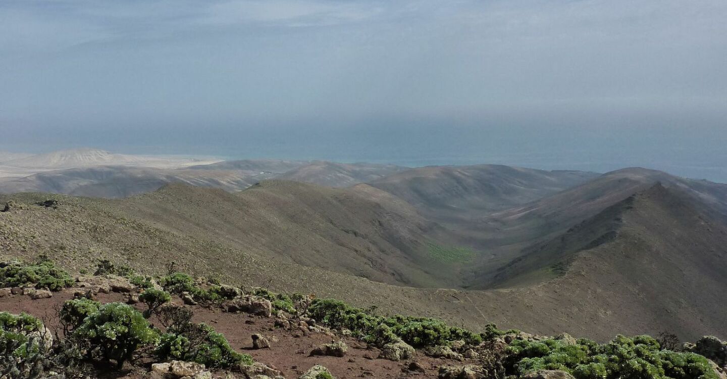 WFF 1065 5 FFuerteventura Blick in das Barranco Esquinzo