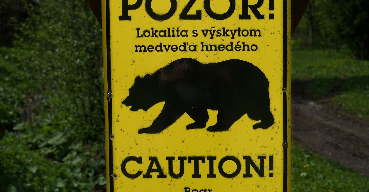 WTA 1008 1 Warnung vor dem Bären in dem Lopusna Tal