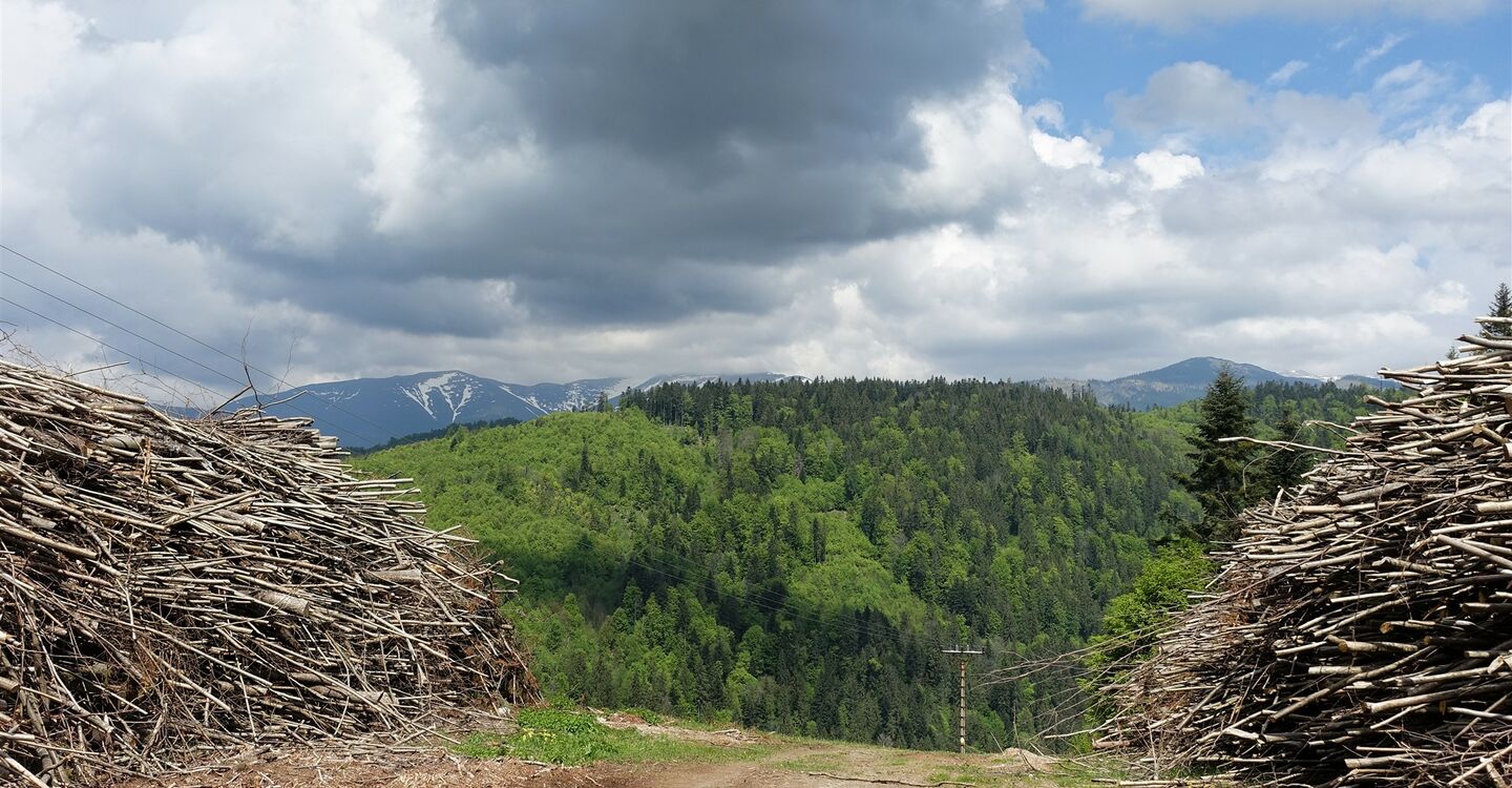 WTA 1006 4 Von der Einsattelung blicken wir auf die Höhen der Niederen Tatra