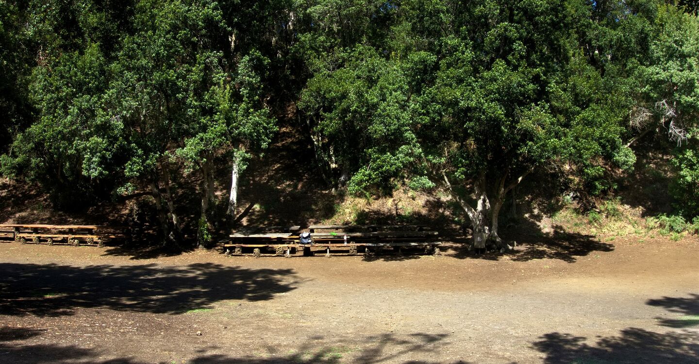 WEH 1016 1 am Picknickplatz Hoya del Pino Hoya del Pino