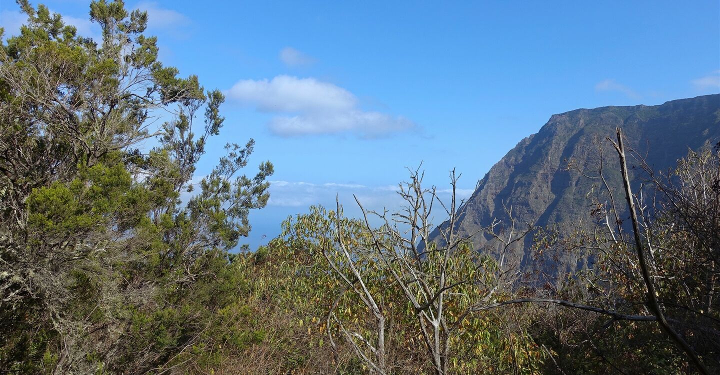 WEH 1027 3 hoch erheben sich die Berge aus dem El Golfo Tal