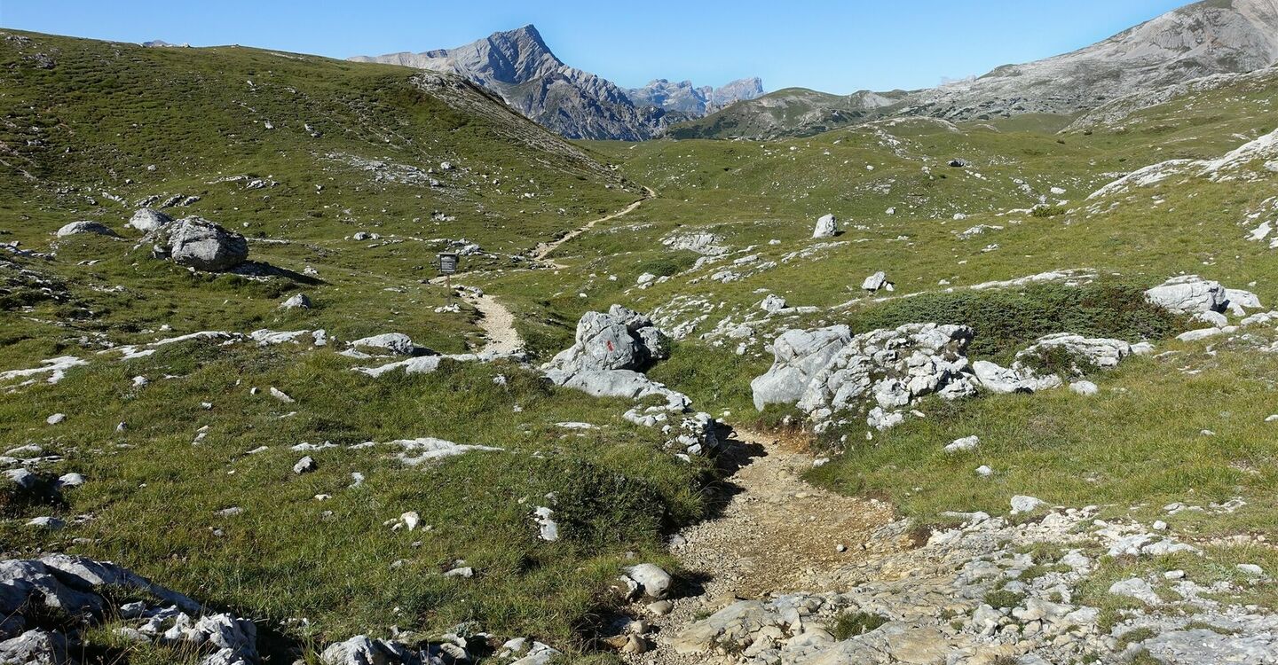 WKB1 1002 3 Wiesengelände mit kleinen Talmulden auf Sennes Hochfläche.