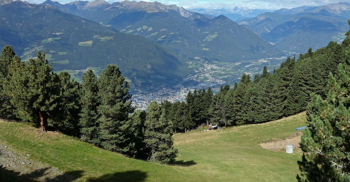 WKB2 1030 2 Bei der 1. Skipiste verlassen wir den Höhenweg.