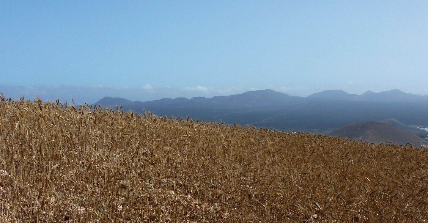 WL 1051 3 Lanzarote 28.932833 -13.763783 Kornfelder bis hin zum Timanfaya Gebirge