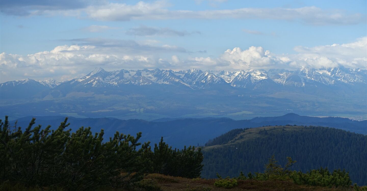 WTA 1007 3 Vom Aussichtspunkt Vel'ká Vápencia schaut man in die westliche und Hohe Tatra