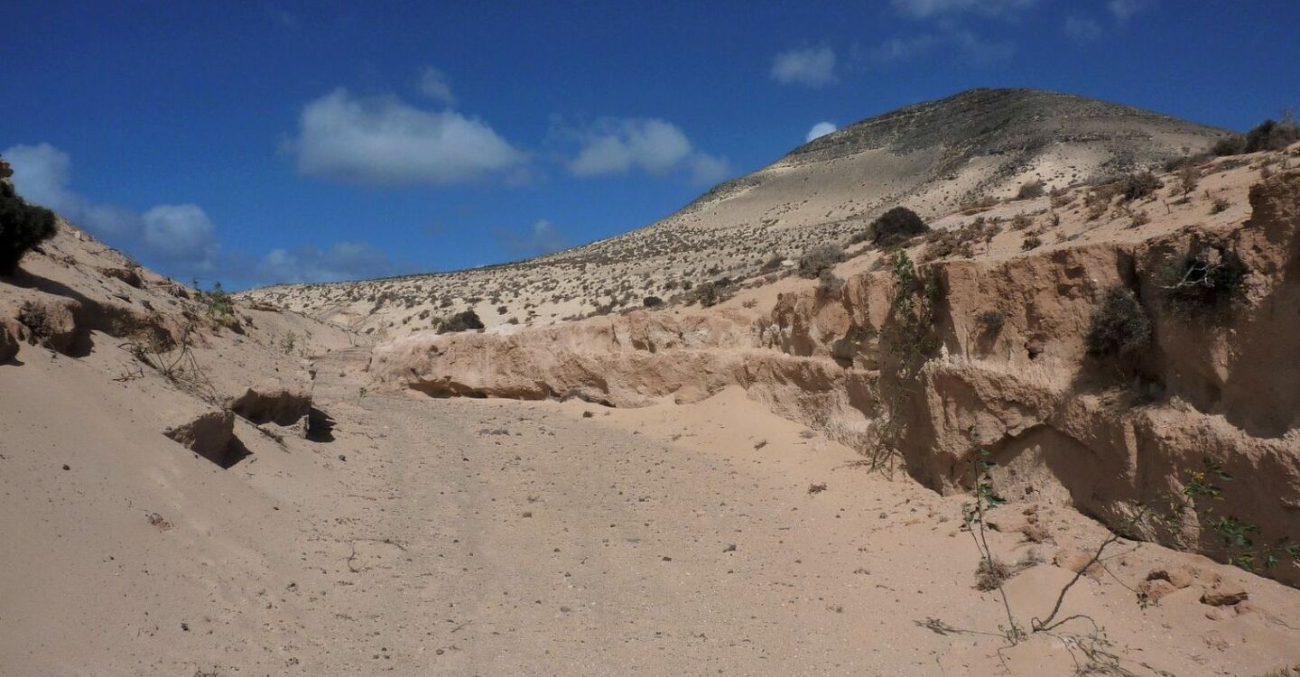 WFF 1051 5 FFuerteventura Barranco Pecenscal