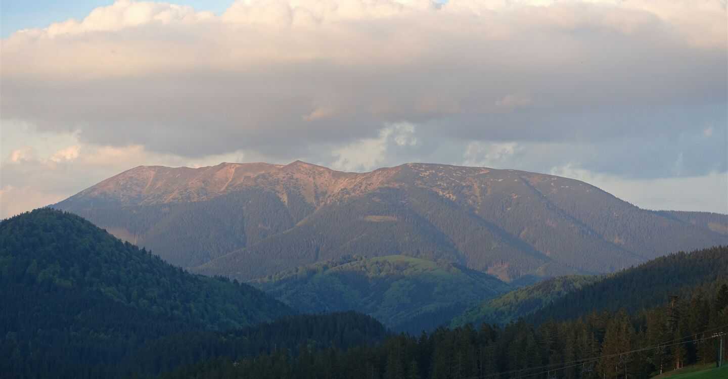 WTA 1020 3 Der Berg Mala Chochula von Donovaly aus gesehen