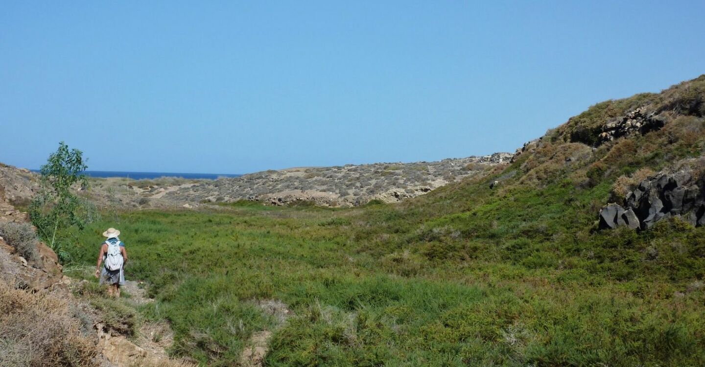 WFF 1015 4 FFuerteventura Wanderungen Salzwiesen kurz vor dem Playa de Jarubio