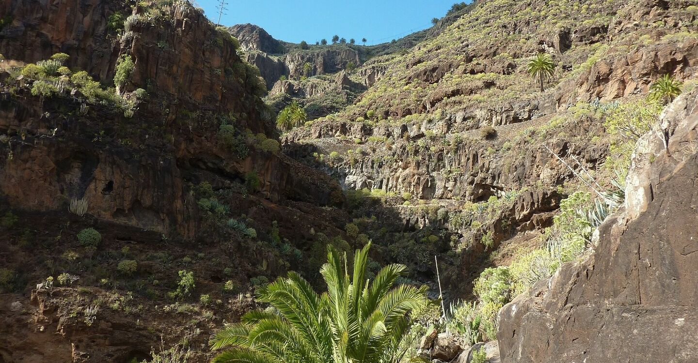 WLG 1067 1 was in der Schlucht vom Barranco Ereses