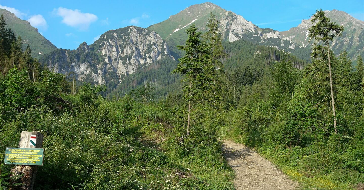 WTA 1059 2 Der Aufstieg führt durch die Monkova dolina