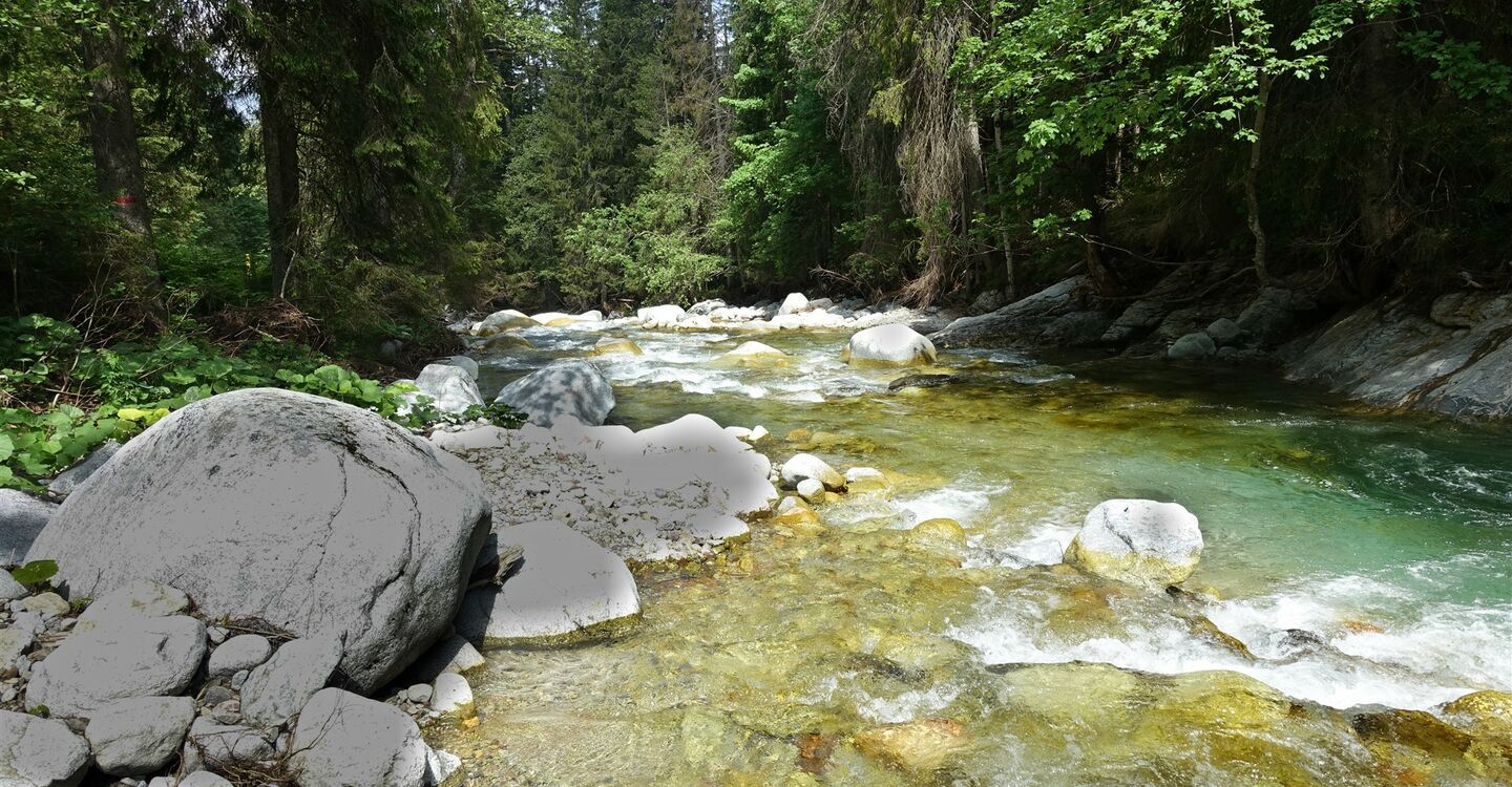 WTA 1060 1 Der Medodoly Bachlauf ist zum Flusslauf geworden auf seinem Weg nach Tatranská Javorina