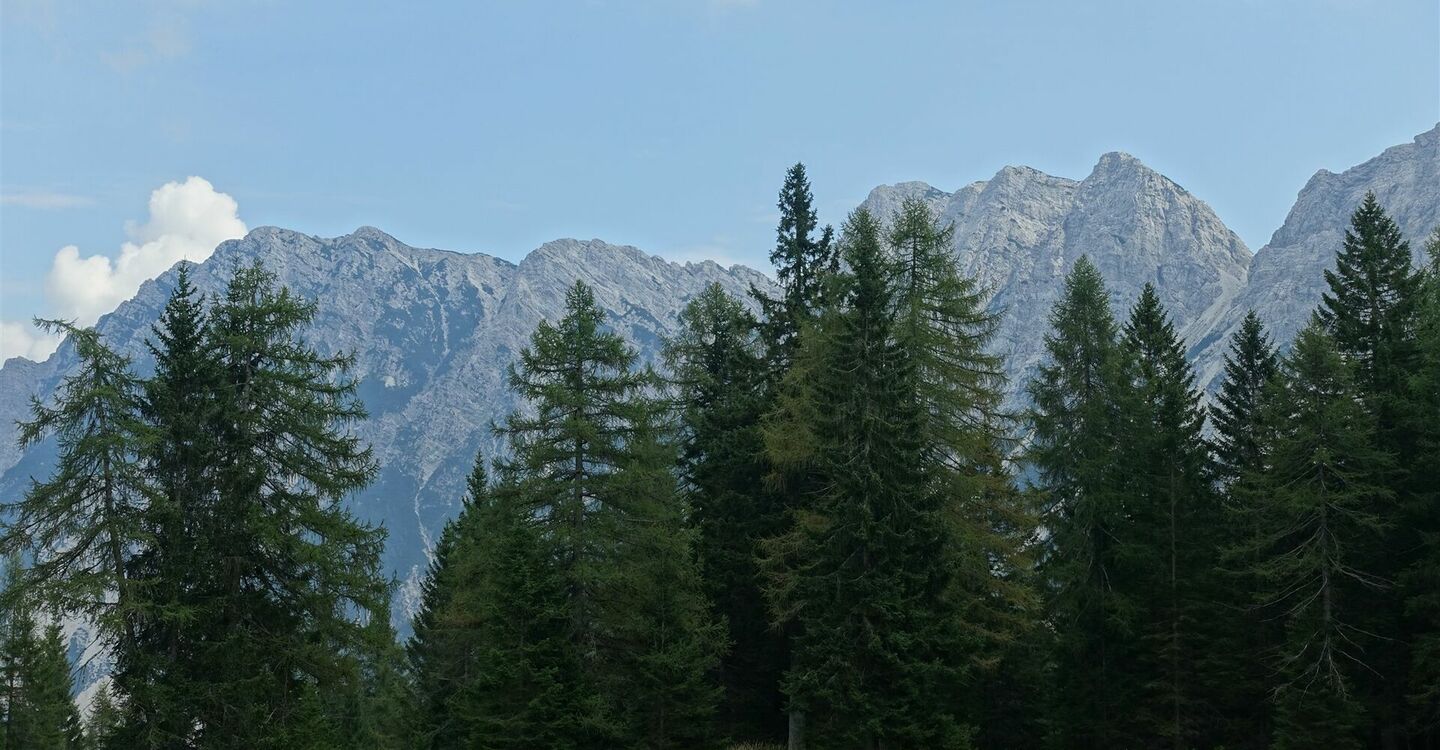 WKB3 1067 1 Die Bergwelt östlich vom Sassolungo di Cibiana.