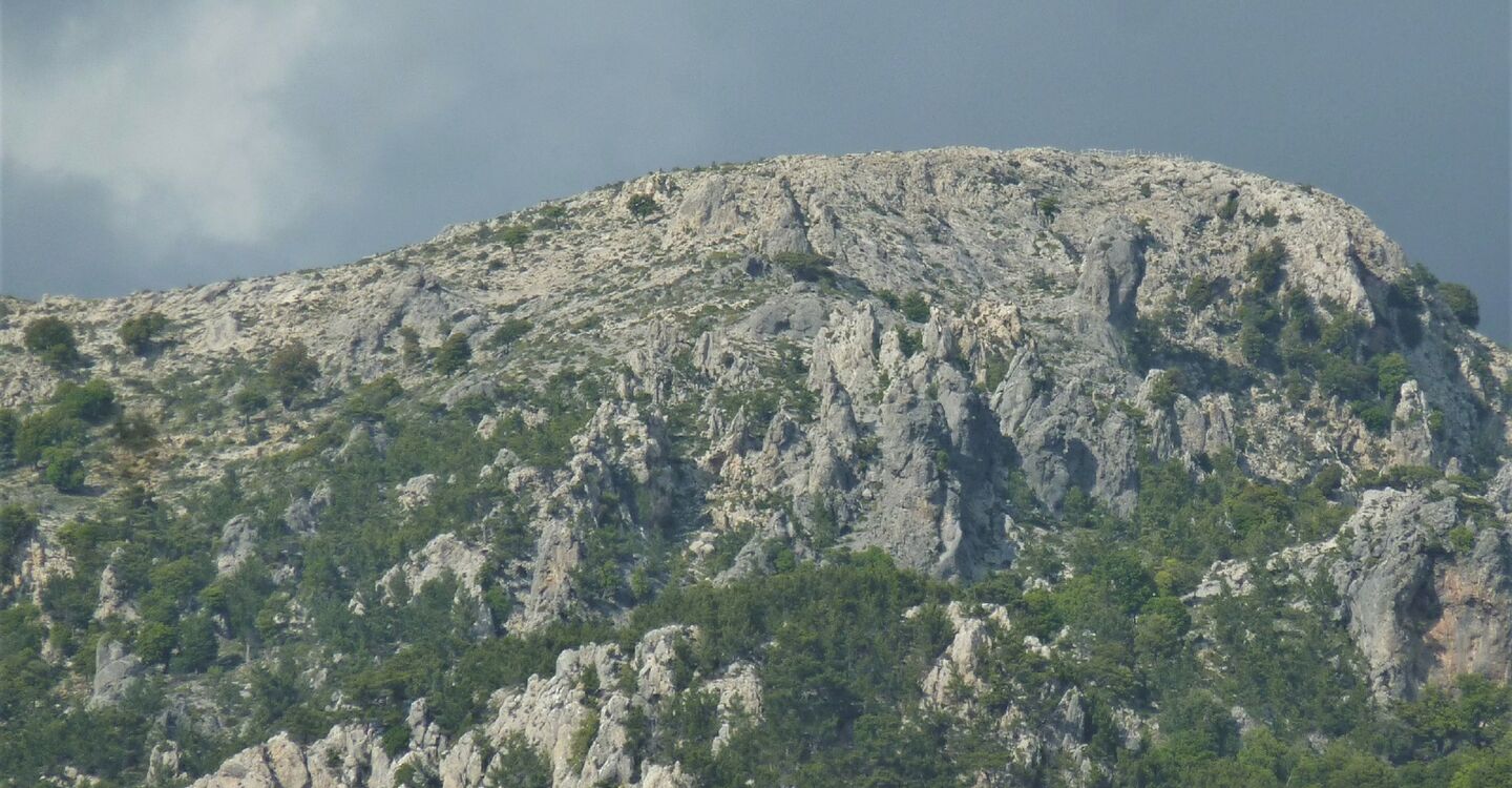 WK 1033 5 Blick auf das Psilorities Bergmassiv kurz vor Forufouras