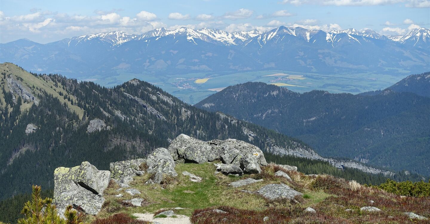 WTA 1017 5 Nochmals schaut man in die westliche und Hohe Tatra bevor man die Einsattelung Napant Bôr erreicht